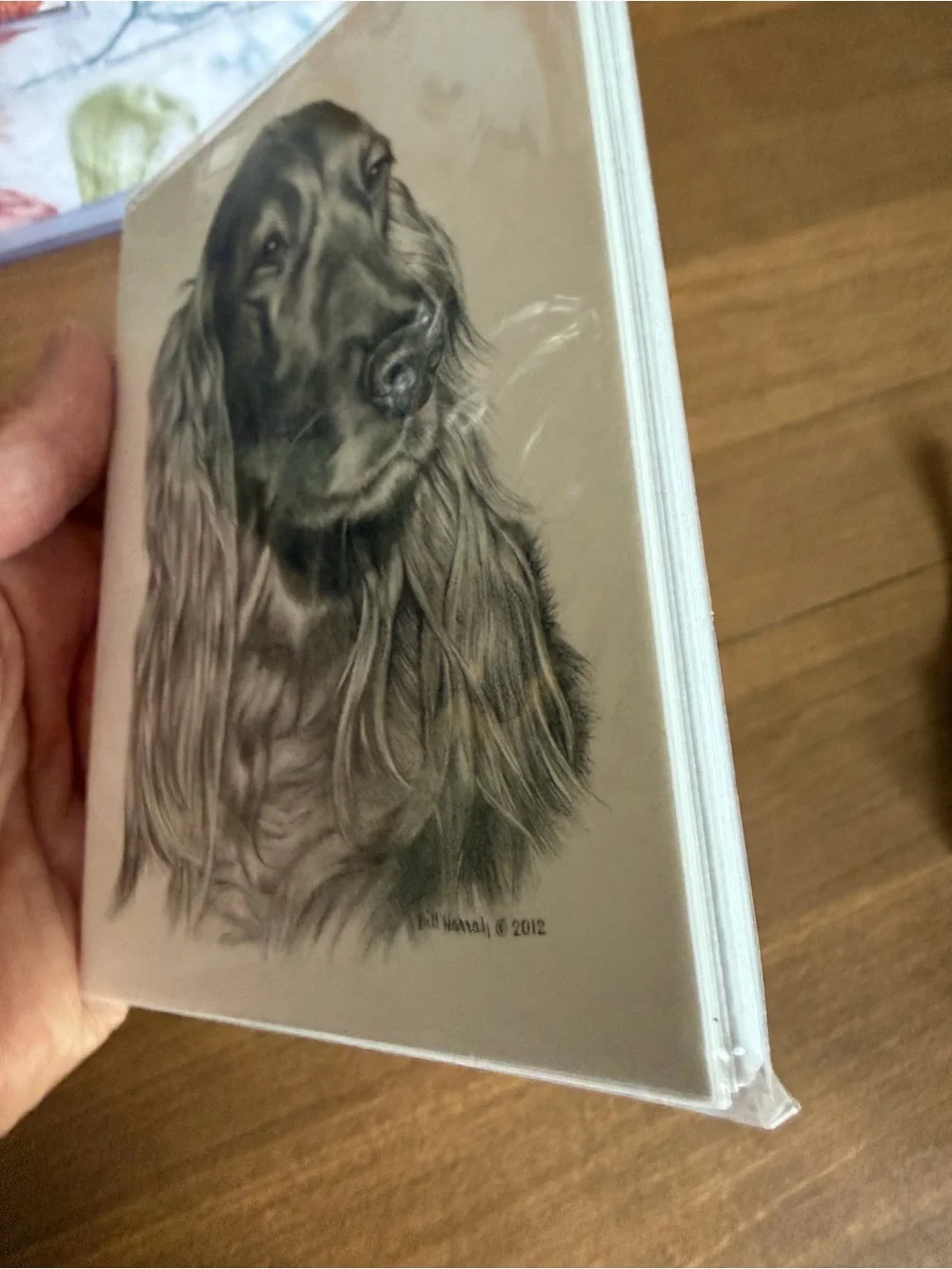 Irish Setter Dog Note Cards (8) Fine Art Drawing